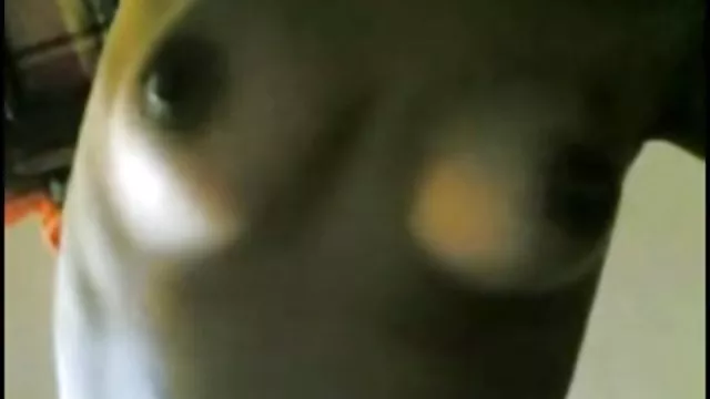 بزرگسالان بدون ثبت نام مرغ بزرگ فیلم های سکسی دوجنسه ها و نازک مردم
