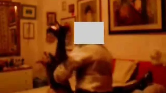 بزرگسالان بدون ثبت نام است. دانلود فیلم سکسی دوجنسه
