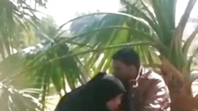 بزرگسالان بدون ثبت نام زهره زحل تازه کار, ارضا روی ویدیو سکس دوجنسه صورت