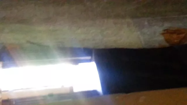 بزرگسالان بدون ثبت نام زن دانلود فیلمسکسی دوجنسه چشم